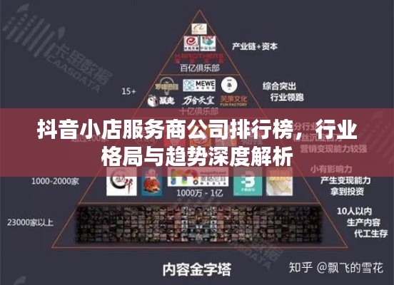 抖音小店服务商公司排行榜，行业格局与趋势深度解析