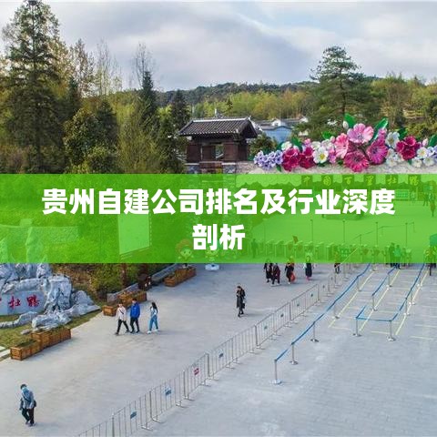 贵州自建公司排名及行业深度剖析