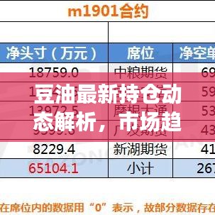 豆油最新持仓动态解析，市场趋势深度剖析