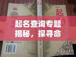 起名查询专题揭秘，探寻命名的艺术与文化魅力