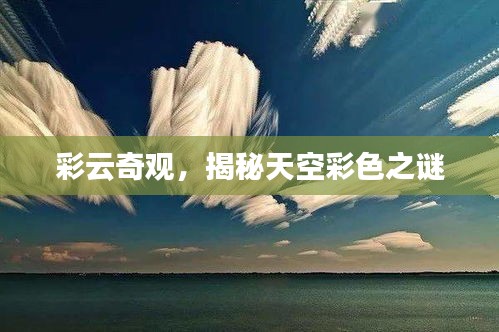 2025年2月18日 第7页