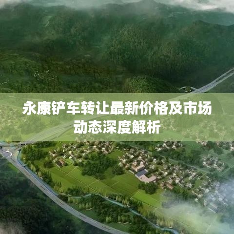 永康铲车转让最新价格及市场动态深度解析