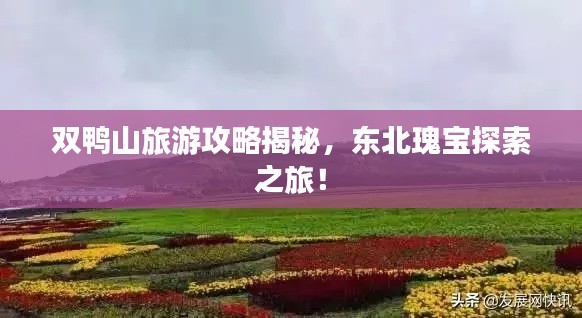 双鸭山旅游攻略揭秘，东北瑰宝探索之旅！