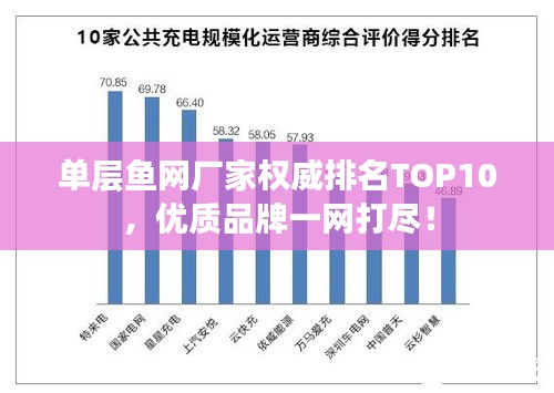 单层鱼网厂家权威排名TOP10，优质品牌一网打尽！