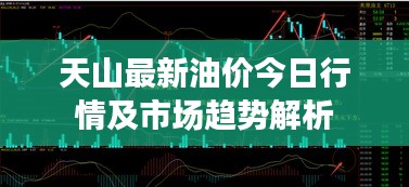 2025年2月19日 第7页