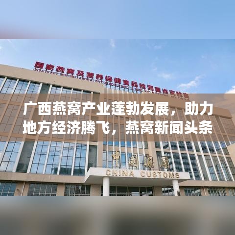 广西燕窝产业蓬勃发展，助力地方经济腾飞，燕窝新闻头条抢先看！