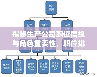 揭秘生产公司职位层级与角色重要性，职位排名全解析