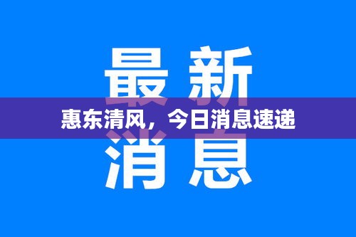 惠东清风，今日消息速递