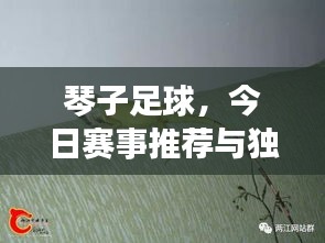 琴子足球，今日赛事推荐与独家动态速递