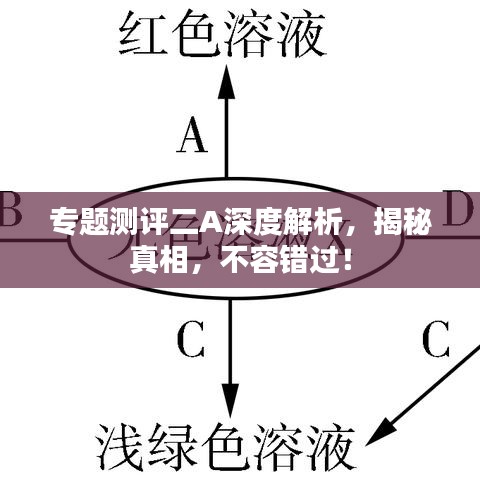 专题测评二A深度解析，揭秘真相，不容错过！