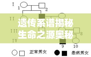 遗传系谱揭秘生命之源奥秘专题探索