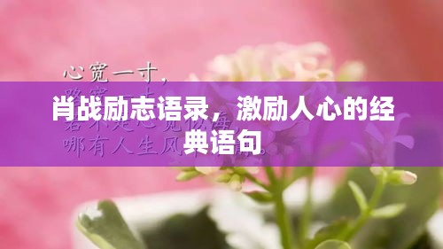 肖战励志语录，激励人心的经典语句