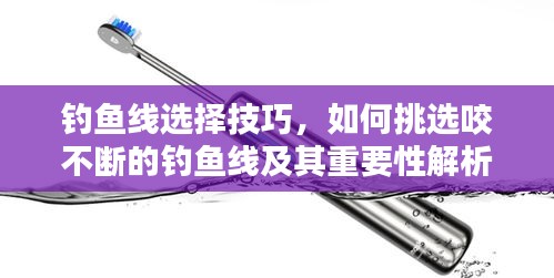 钓鱼线选择技巧，如何挑选咬不断的钓鱼线及其重要性解析