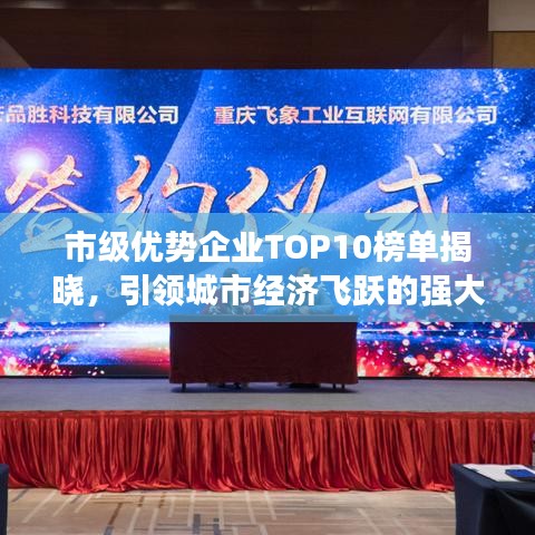 市级优势企业TOP10榜单揭晓，引领城市经济飞跃的强大力量