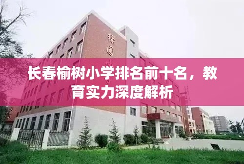 长春榆树小学排名前十名，教育实力深度解析