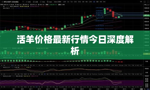 活羊价格最新行情今日深度解析