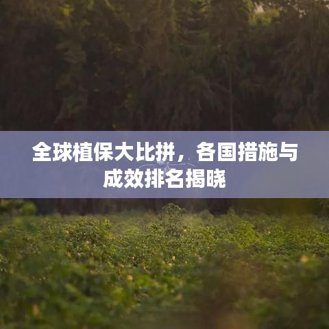 全球植保大比拼，各国措施与成效排名揭晓