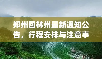 郑州回林州最新通知公告，行程安排与注意事项揭秘！