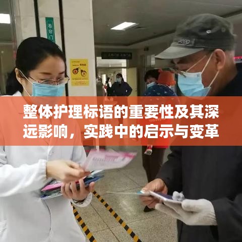 整体护理标语的重要性及其深远影响，实践中的启示与变革