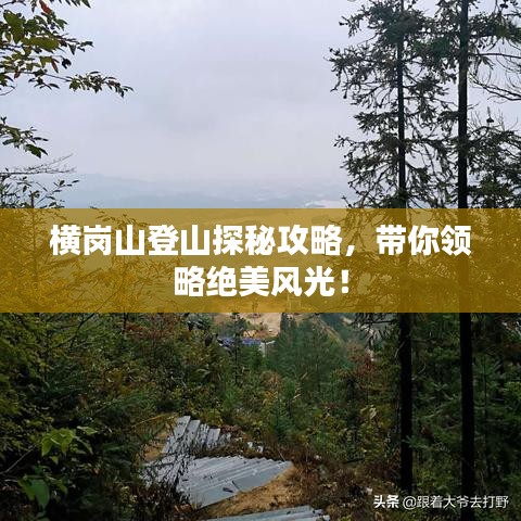 横岗山登山探秘攻略，带你领略绝美风光！