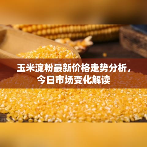 玉米淀粉最新价格走势分析，今日市场变化解读