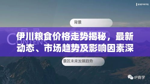 伊川粮食价格走势揭秘，最新动态、市场趋势及影响因素深度解析