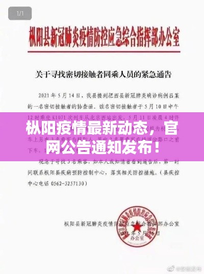 枞阳疫情最新动态，官网公告通知发布！