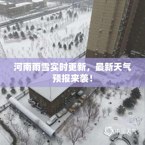 河南雨雪实时更新，最新天气预报来袭！