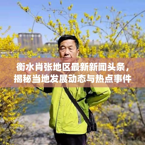 衡水肖张地区最新新闻头条，揭秘当地发展动态与热点事件