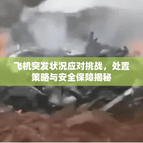 飞机突发状况应对挑战，处置策略与安全保障揭秘