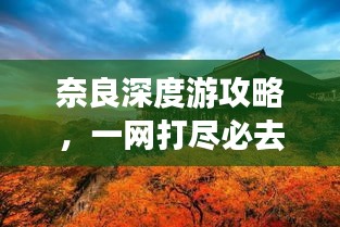 奈良深度游攻略，一网打尽必去景点！