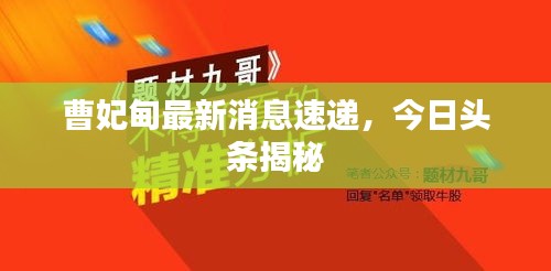 曹妃甸最新消息速递，今日头条揭秘