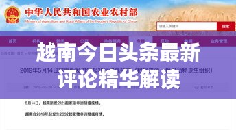 越南今日头条最新评论精华解读