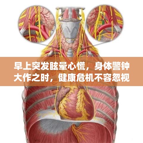 早上突发眩晕心慌，身体警钟大作之时，健康危机不容忽视