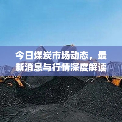 今日煤炭市场动态，最新消息与行情深度解读
