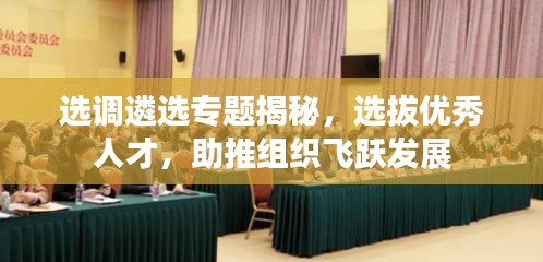 选调遴选专题揭秘，选拔优秀人才，助推组织飞跃发展