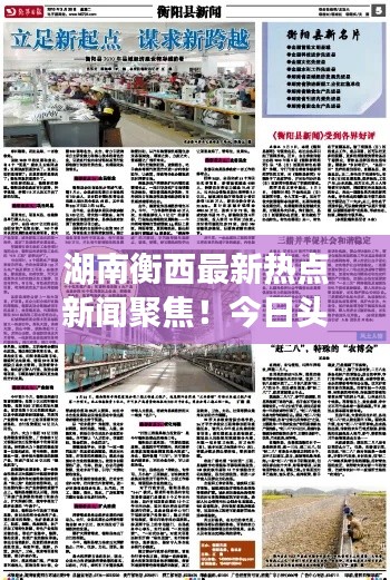 湖南衡西最新热点新闻聚焦！今日头条独家报道！