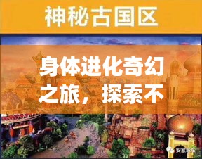 身体进化奇幻之旅，探索不断演变的神秘世界