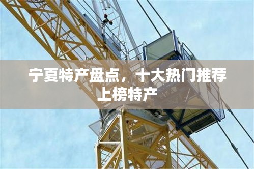 宁夏特产盘点，十大热门推荐上榜特产