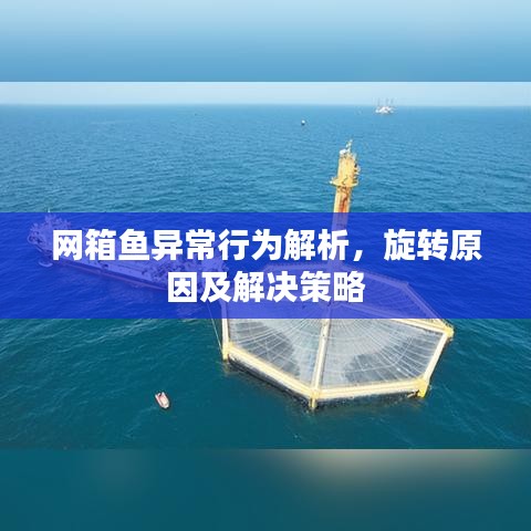网箱鱼异常行为解析，旋转原因及解决策略