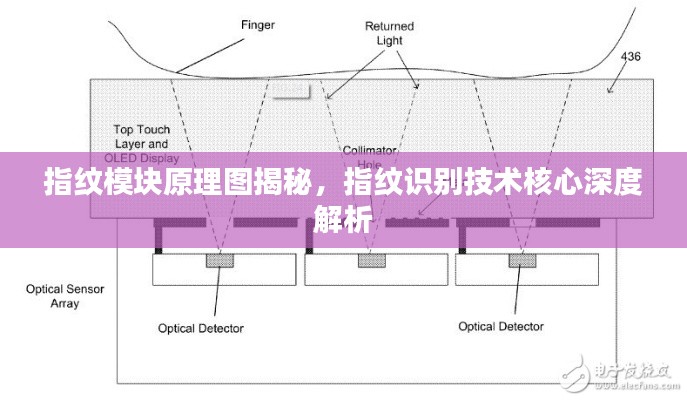 指纹模块原理图揭秘，指纹识别技术核心深度解析