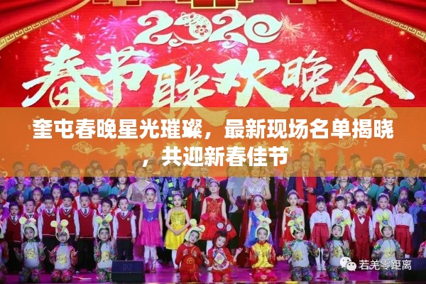 奎屯春晚星光璀璨，最新现场名单揭晓，共迎新春佳节