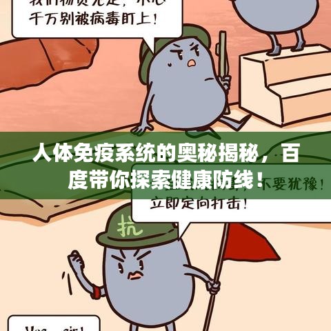 人体免疫系统的奥秘揭秘，百度带你探索健康防线！