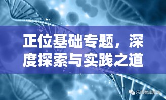 正位基础专题，深度探索与实践之道