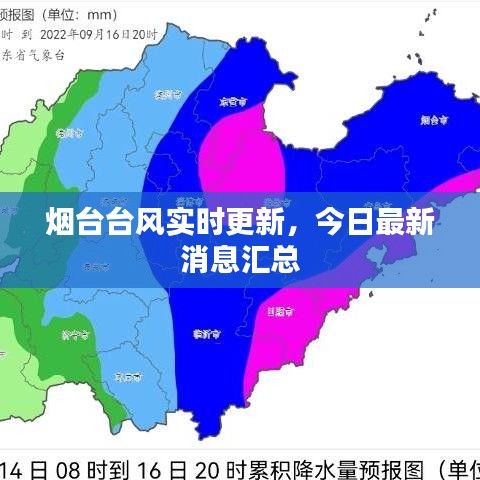 烟台台风实时更新，今日最新消息汇总