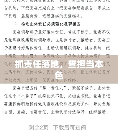 抓责任落地，查担当本色