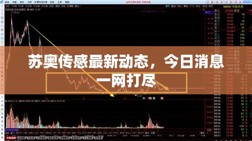 苏奥传感最新动态，今日消息一网打尽