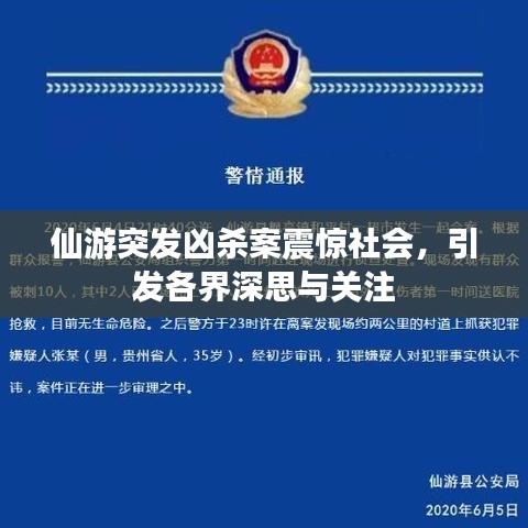仙游突发凶杀案震惊社会，引发各界深思与关注