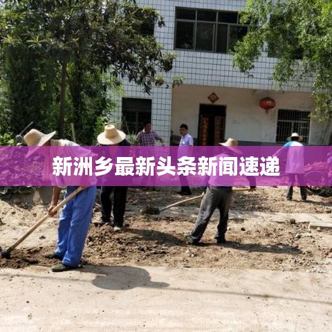 新洲乡最新头条新闻速递