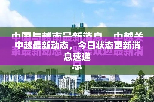中越最新动态，今日状态更新消息速递